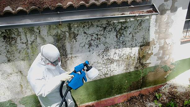 Trusted Crawl Space Mold Removal service in North Beach, MD - Cheap Mold Removal